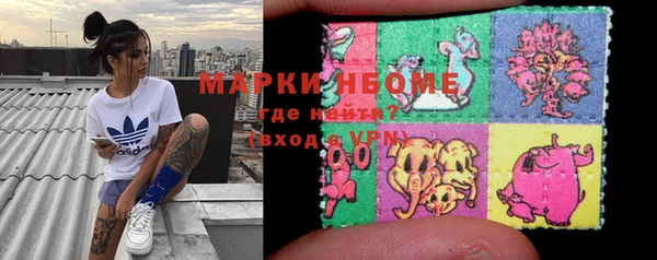 прущий лед Алзамай