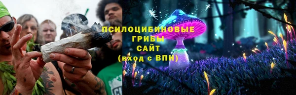 прущий лед Алзамай