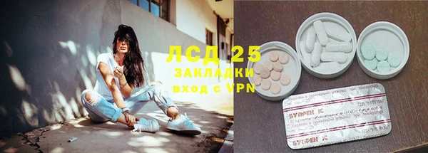 прущий лед Алзамай