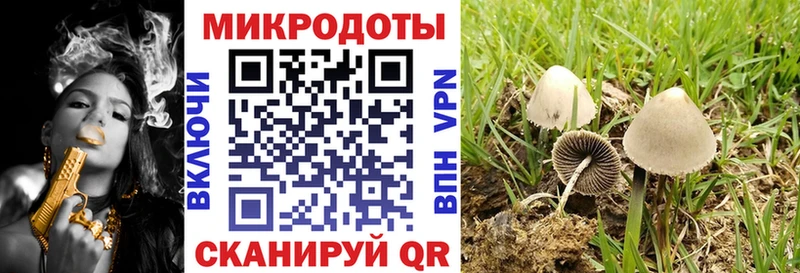 Галлюциногенные грибы ЛСД как найти наркотики Апшеронск